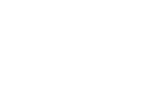 sedgley-white-lions-logo